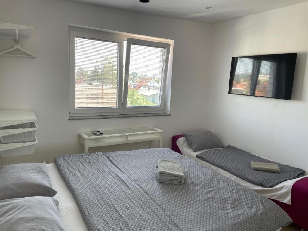 R41 - Tivoli Groundfloor Apartment Ljubljana Bagian luar foto