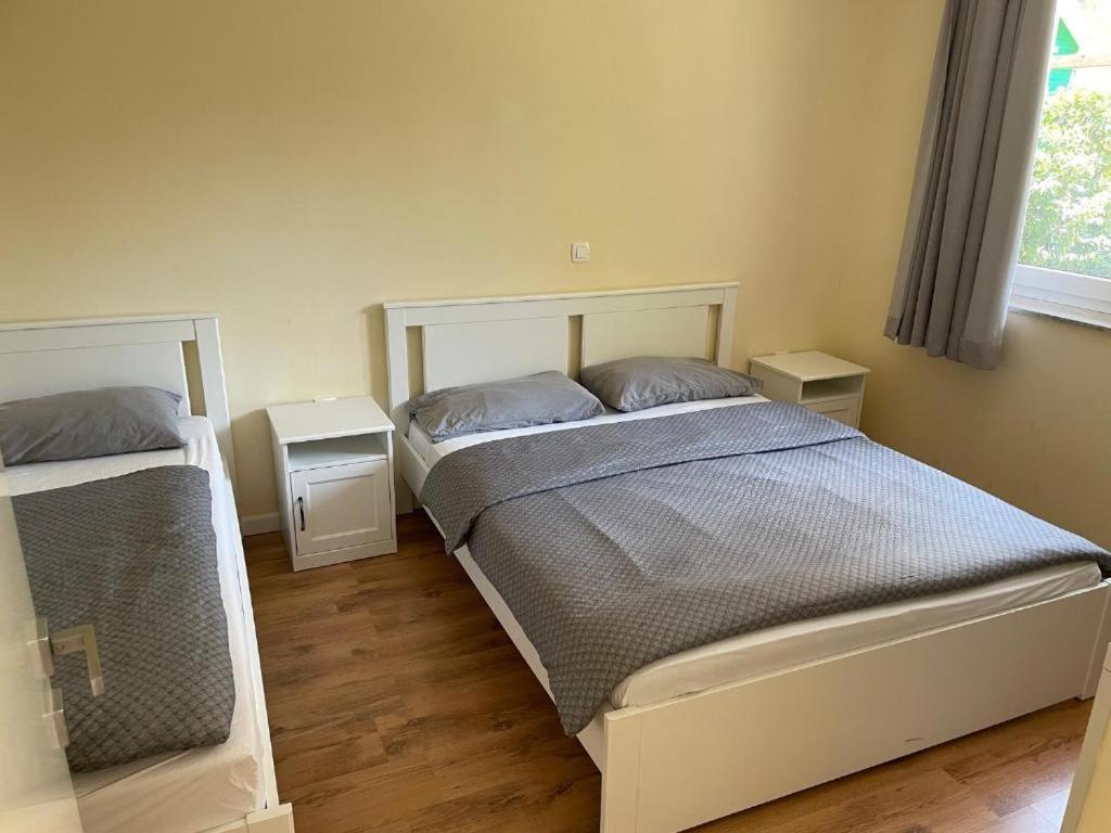 R41 - Tivoli Groundfloor Apartment Ljubljana Bagian luar foto